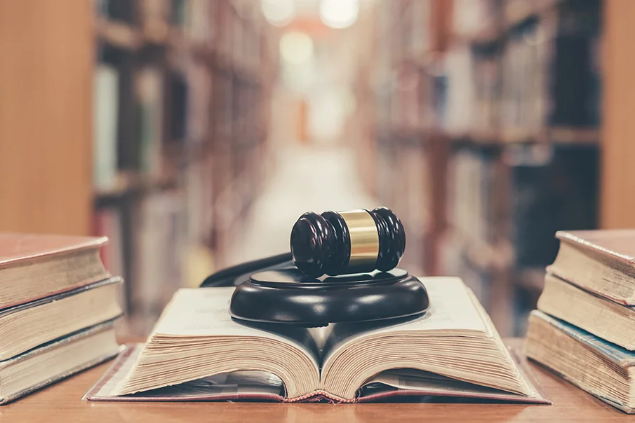 Bright Leaf Publishers book cover