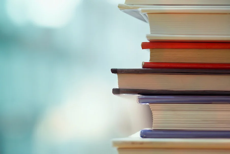 Bright Leaf Publishers book cover