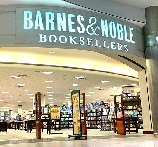 Bright Leaf Publishers book cover