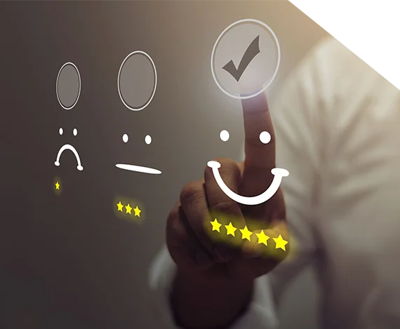 Bright Leaf Publishers book cover